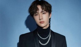 娱乐大爆料王子奇是谁,揭秘“王子奇”背后的明星之谜