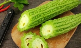 吃瓜免费应用,轻松畅享海量资讯的神奇应用